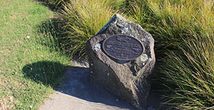 >NZ First fatal air service accident